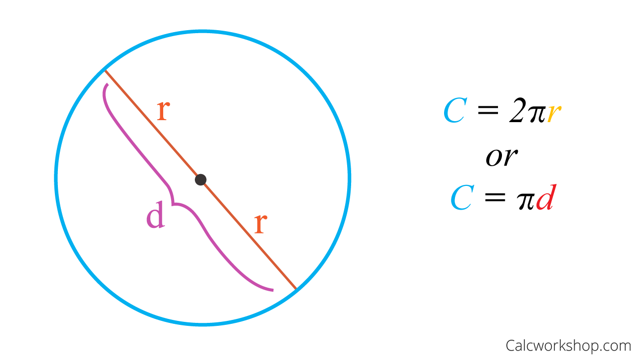 How to Find the Circumference of a Circle? (27 Examples!)