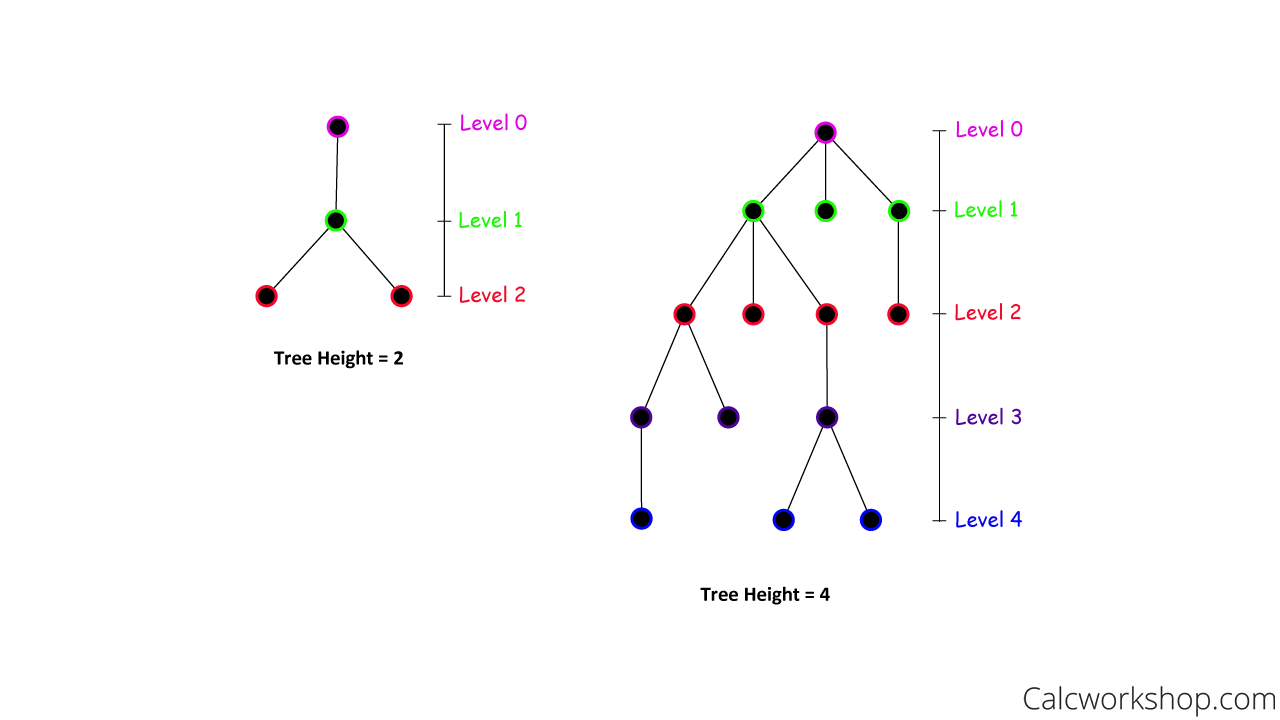 Graph Theory Tree